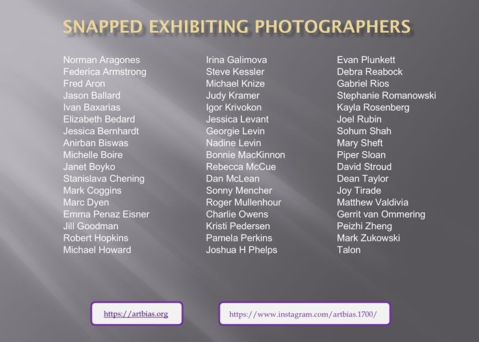 Snapped-2026 Exhibitors (700x500) b.jpg