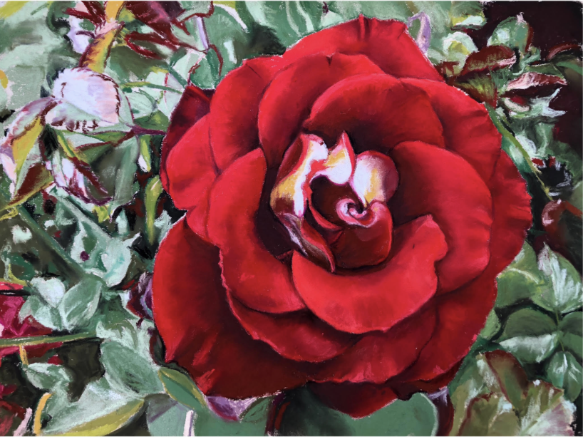WORKSHOP: Red Roses in Pastels