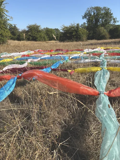 Grid no.3 (51.28312-2.3720952)