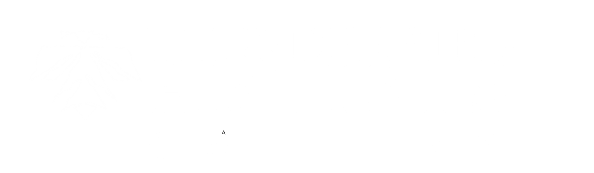 Thunderbird Artists Gallery