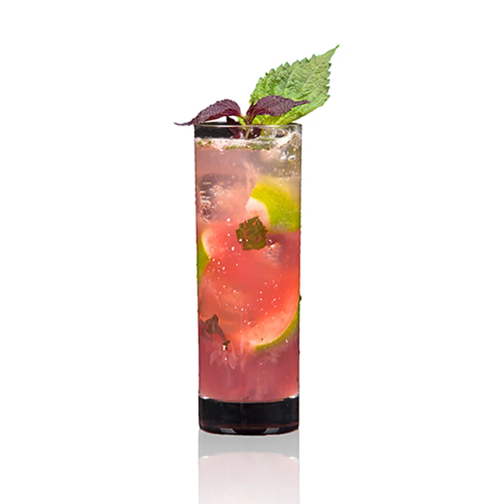 tanduay-ck-shiso-mojito.jpg
