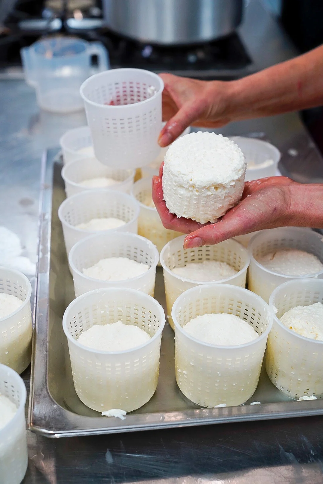 Cheese Making and Appreciation Masterclass