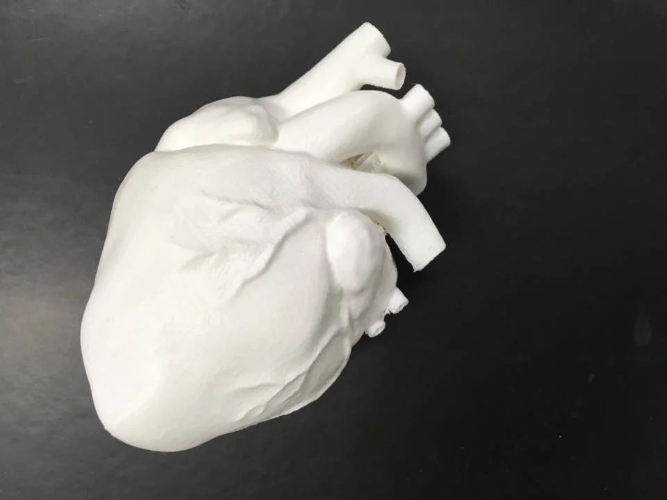 Susann's 3D printed heart