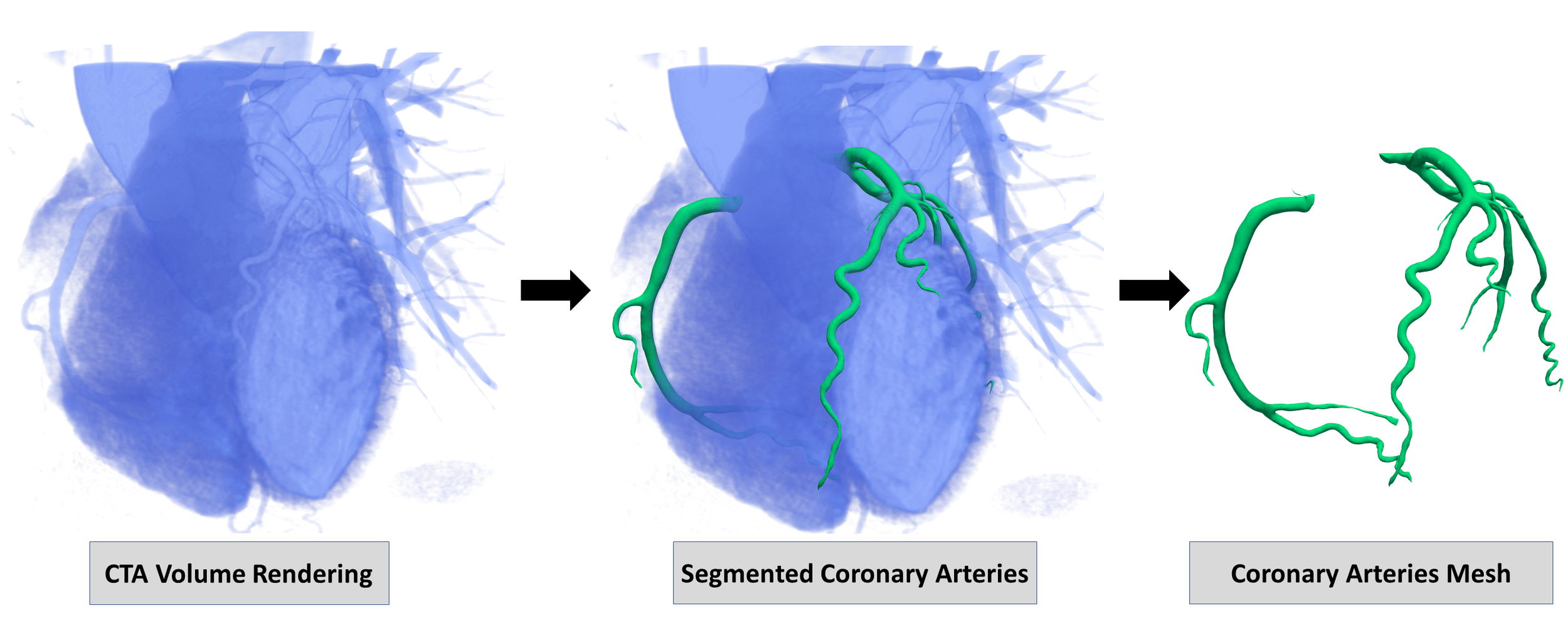Fig2 (1).png