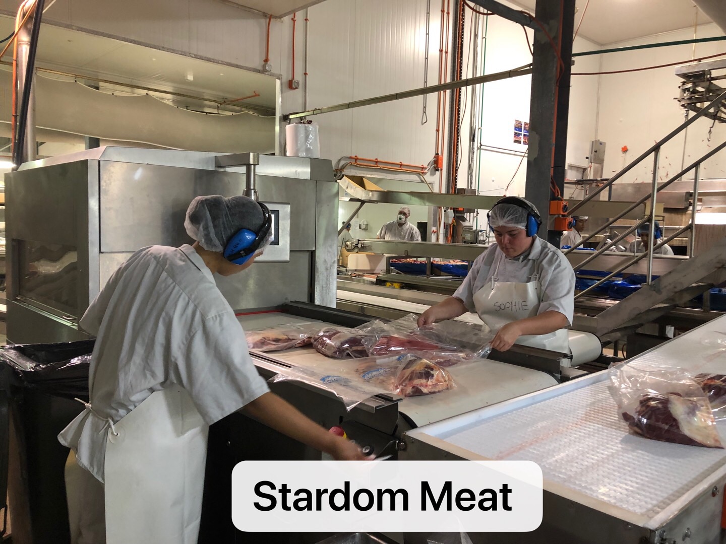 Stardom Meat Workshop