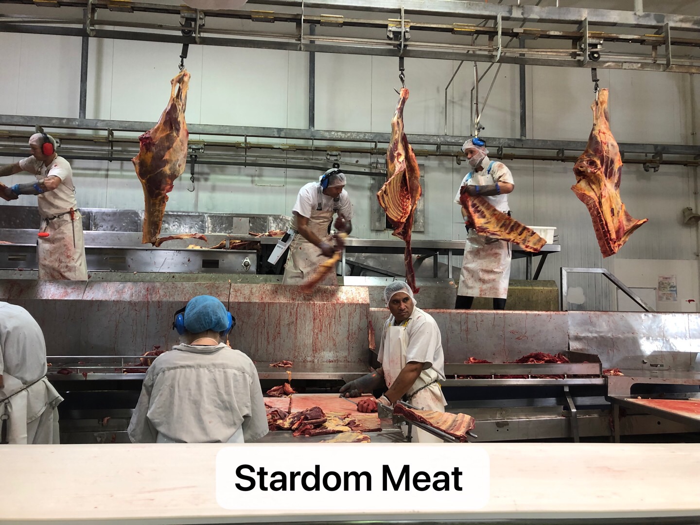 Stardom Meat Workshop