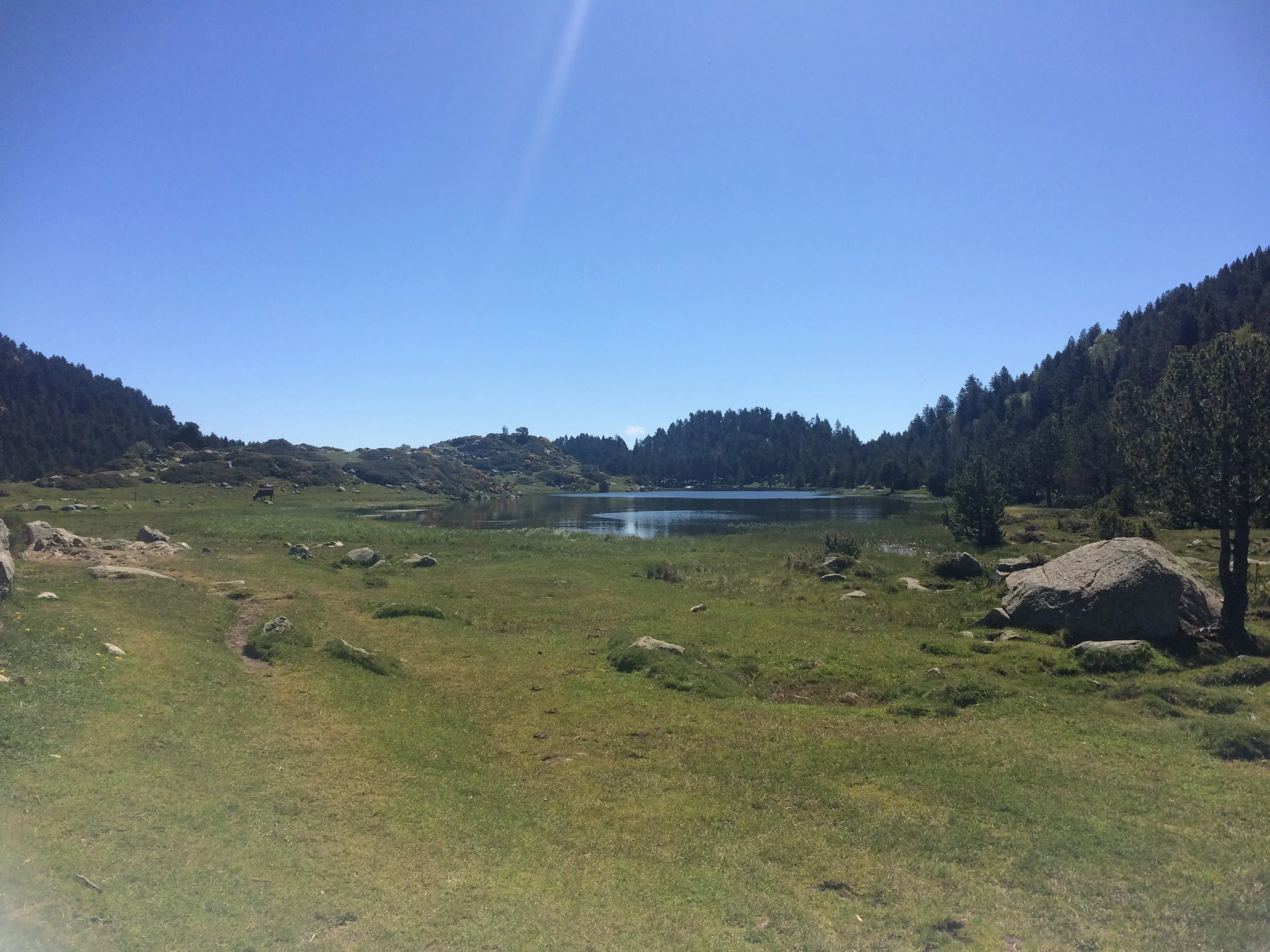 Font Romeu Nature Trail Endurance Bike And Run