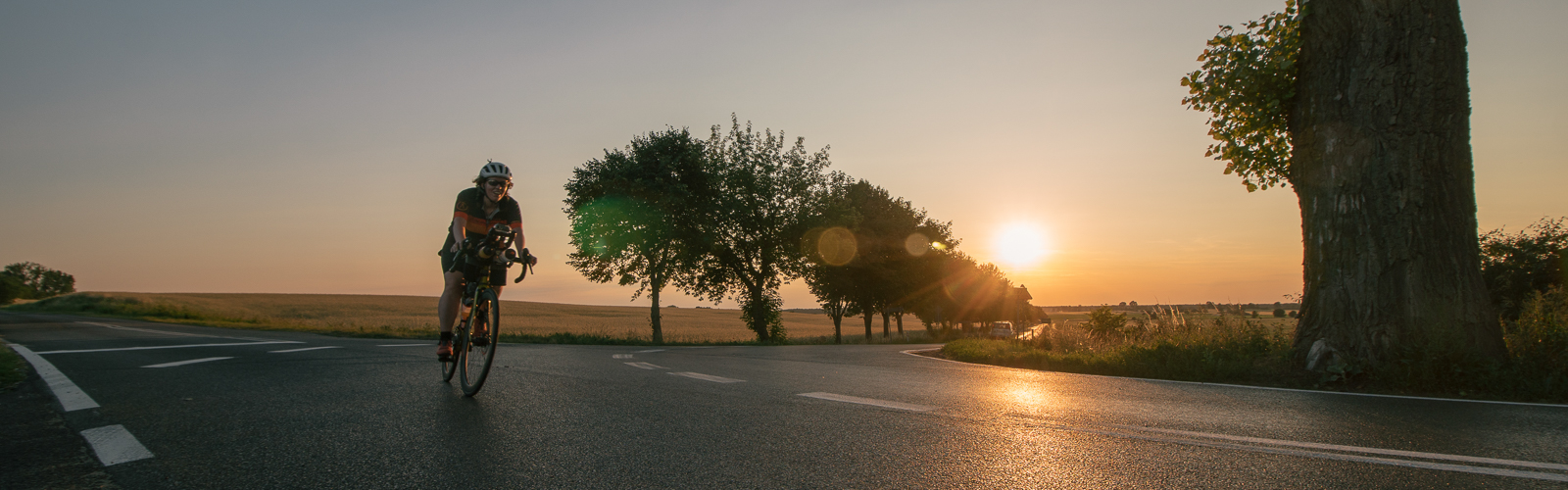 Jenny sunrise 16 x 5-1.jpg
