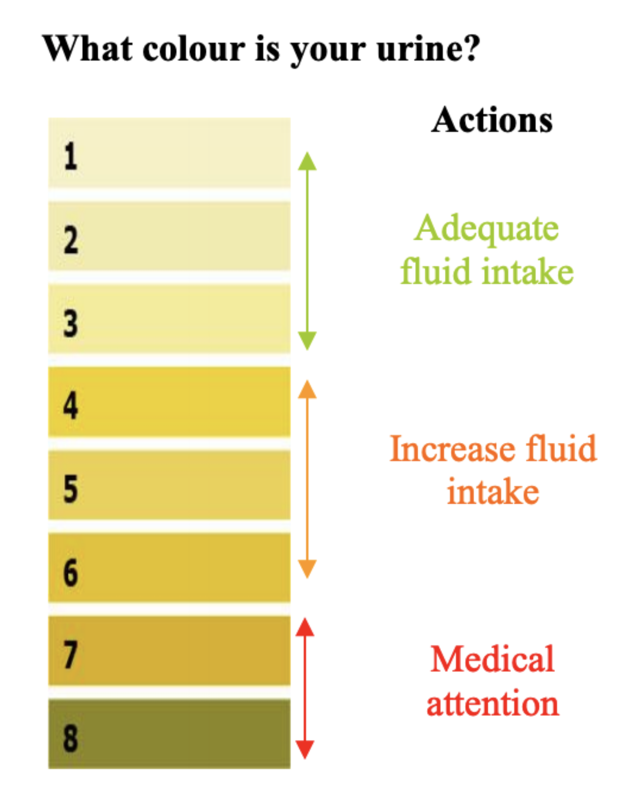 urine chart.png