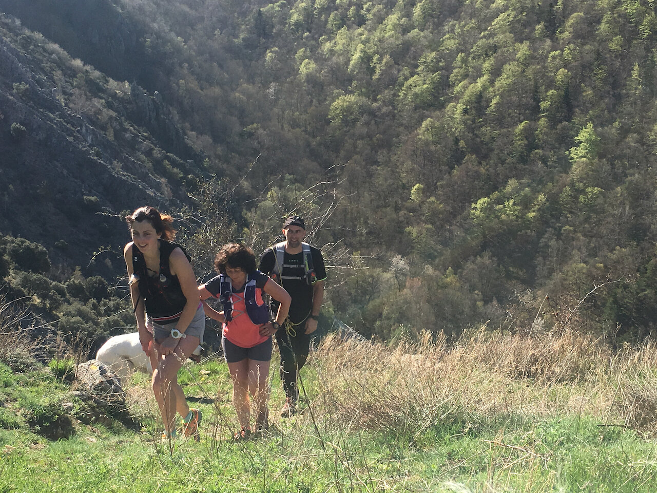 Friends enjoying a relaxed social run in the mountains