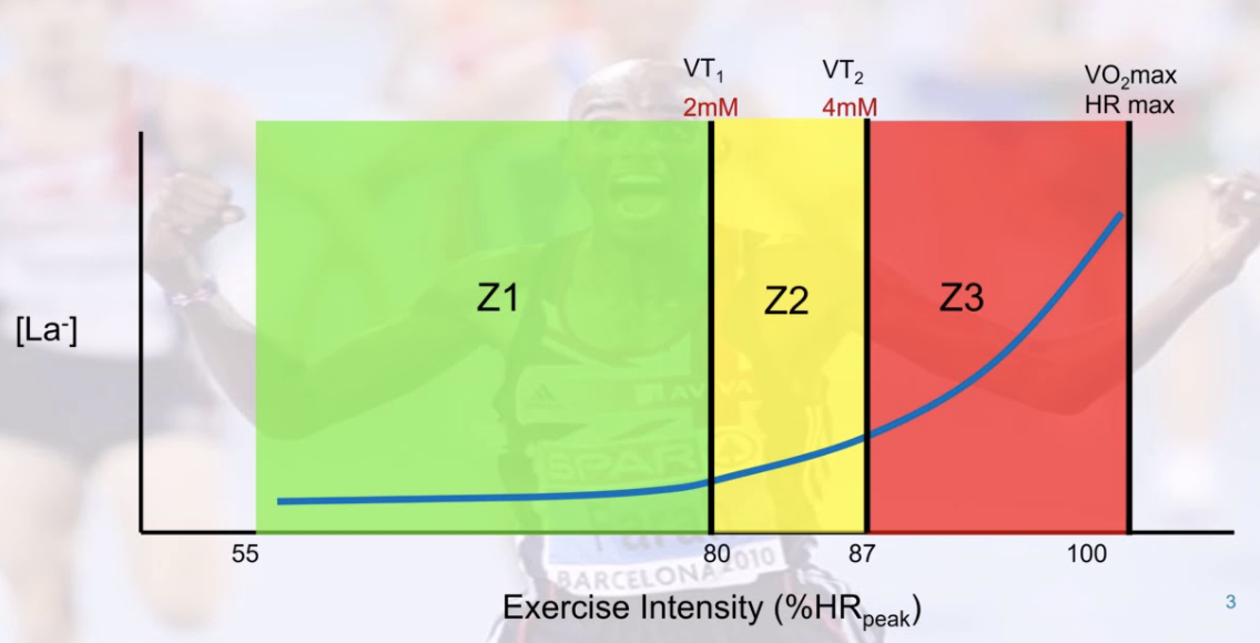 Image presented by Stephen Seiler in numerous presentations that illustrate polarised approaches to training