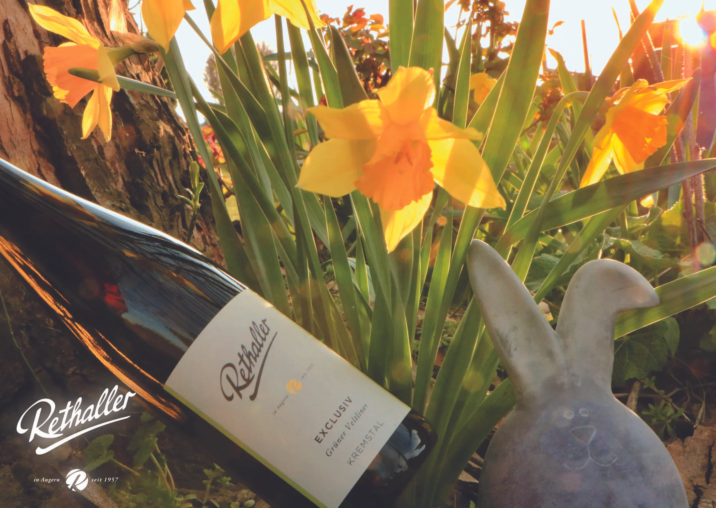 Frühlingsgrüße vom Winzer