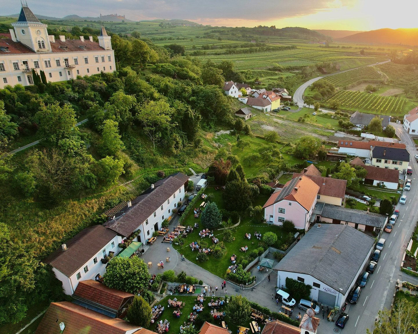 Sommerflair, Weingenuss und gute Stimmung: Die Vorfreude aufs Wine & Blues steigt und steigt! 🤩🥳 
Genießt mit uns am 28. Juni einen entspannten Abend mit köstlichem Wein vom Weingut Rethaller, gegrillten Imbissen von der @fleischere