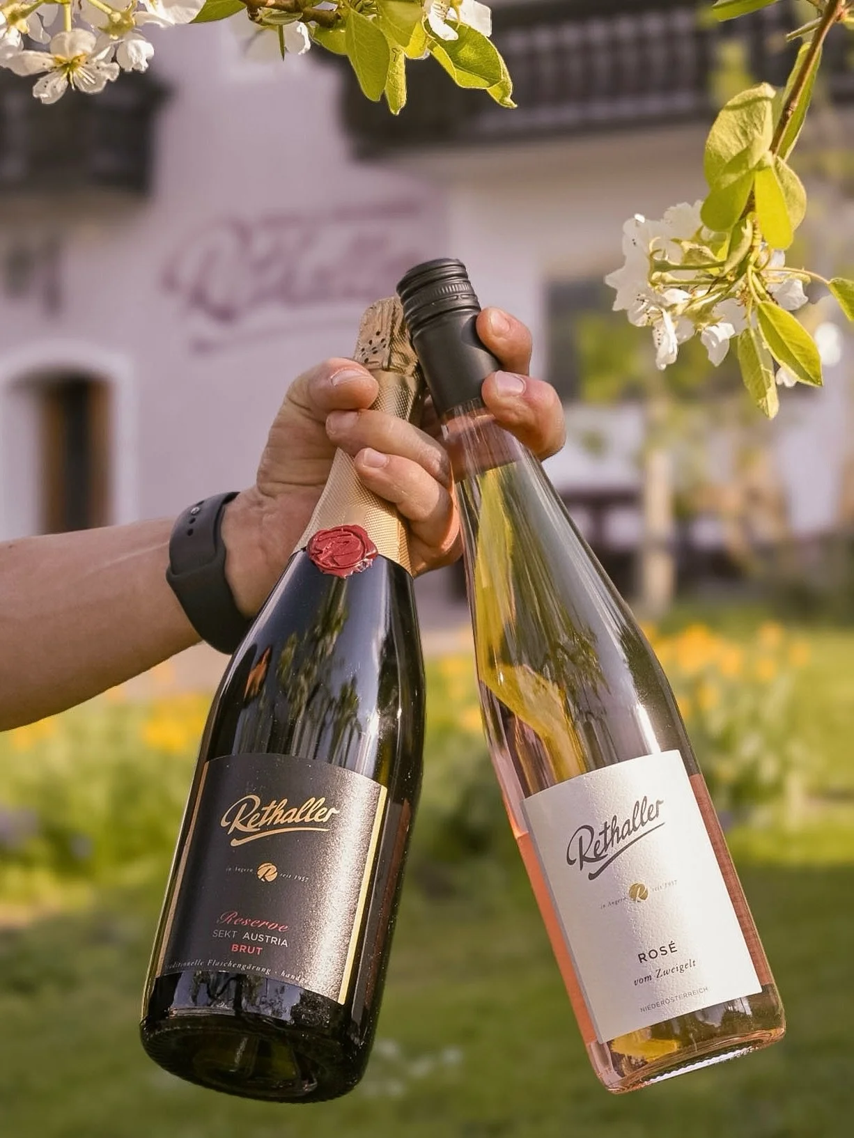 Bereit f&uuml;r den Weinfr&uuml;hling 2026? 🌸🍷

👉🏻 Am 25. &amp; 26. April begr&uuml;&szlig;en wir euch jeweils von 10&ndash;18 Uhr bei uns am Weingut Rethaller in Angern: Verkostet unser Sortiment und entdeckt euren neuen Lieblingswein!

👉🏻 Den