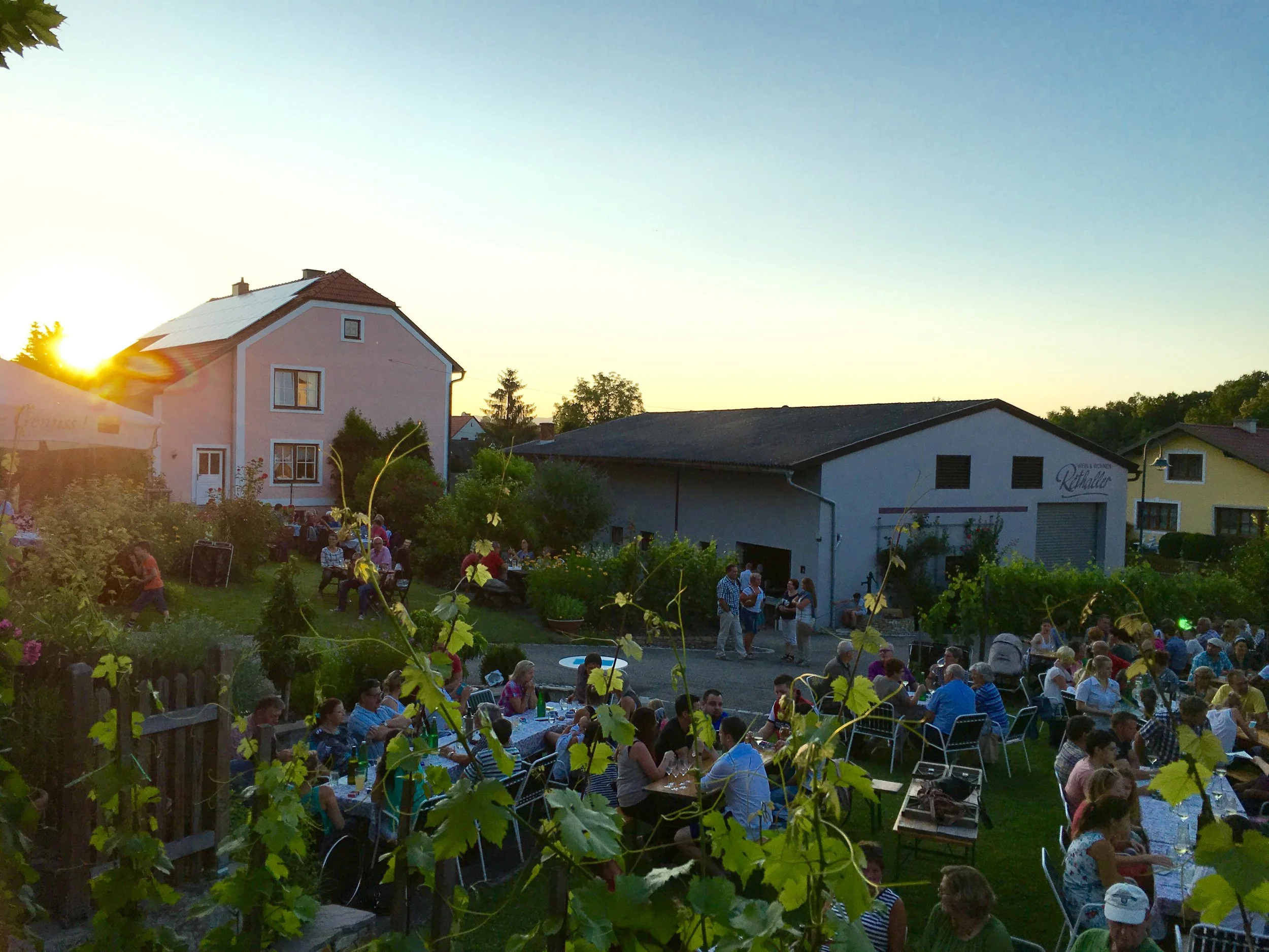 Wine&Blues im Garten