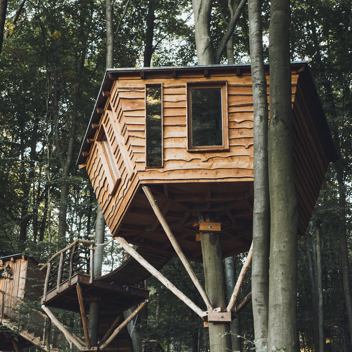 Alle Baumhauser Baumhaushotel Robins Nest