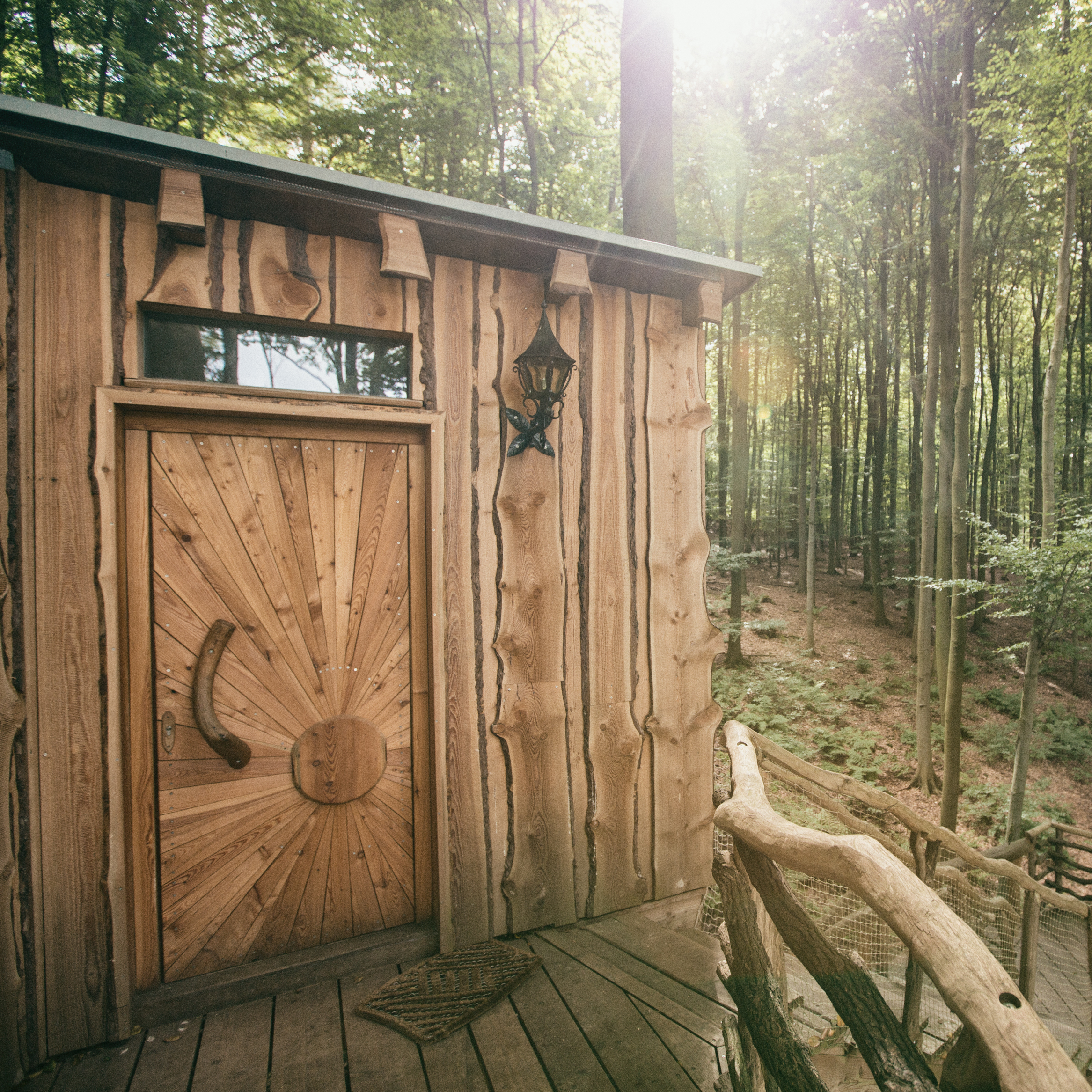 Alle Baumhauser Baumhaushotel Robins Nest