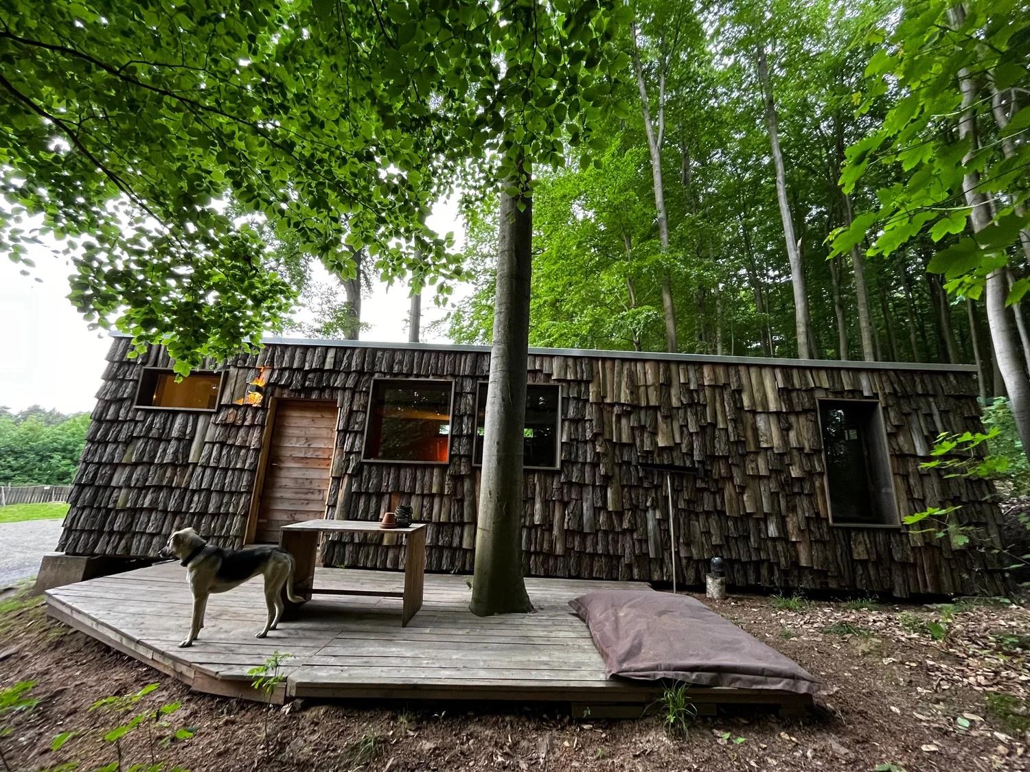 Wald Loft — Baumhaushotel Robins Nest