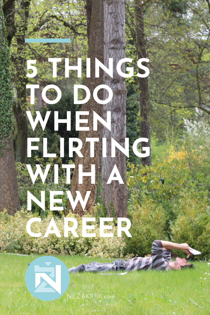 NezaKrek.com_5 things to do when searching for a new career.png