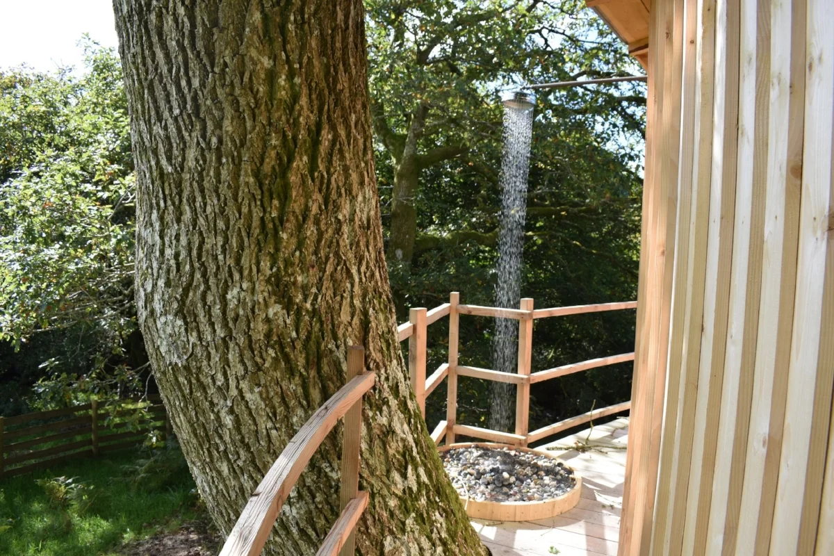 DSC_0196.jpg