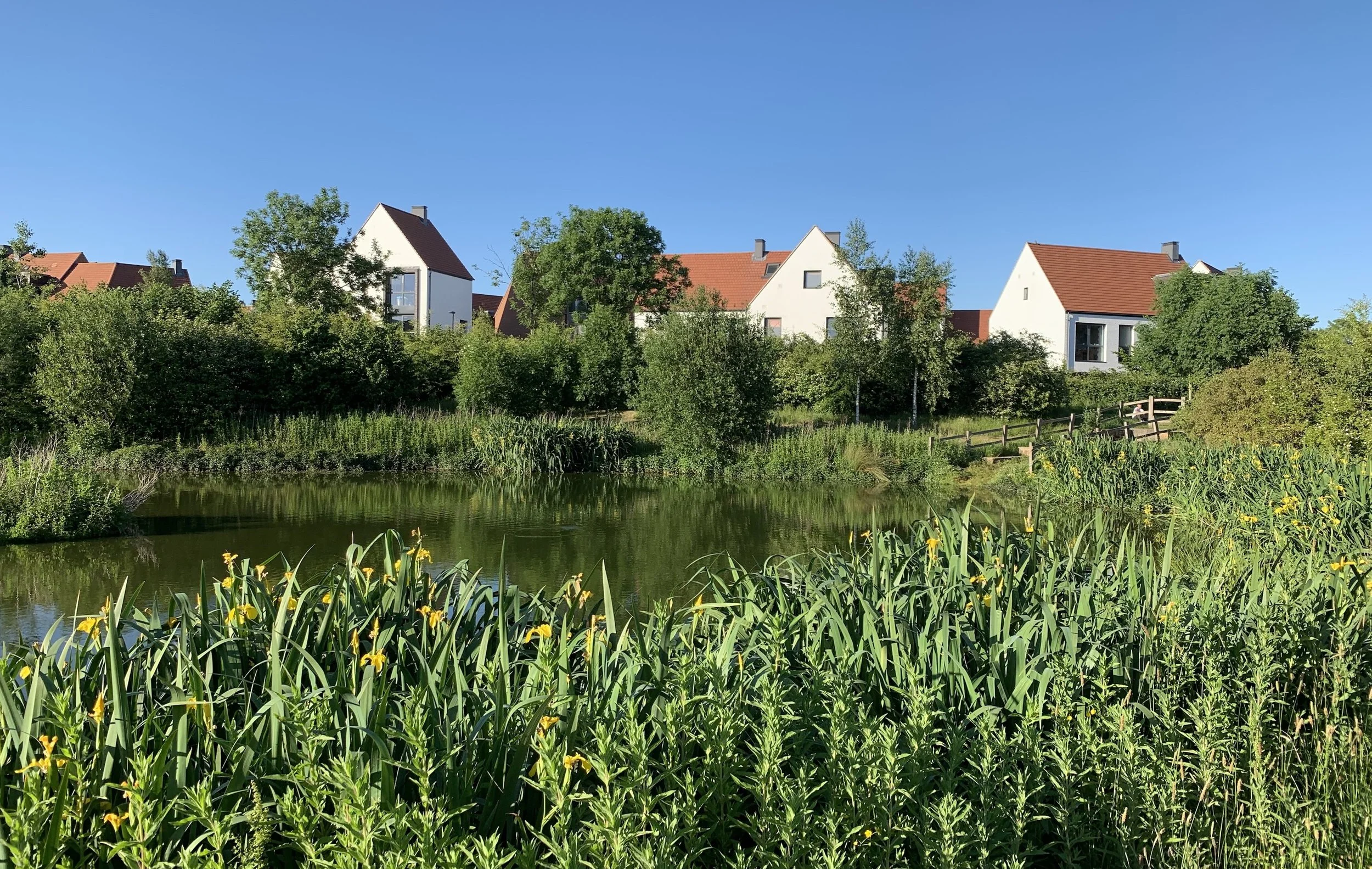 Derwenthorpe: Ten Years in the Making