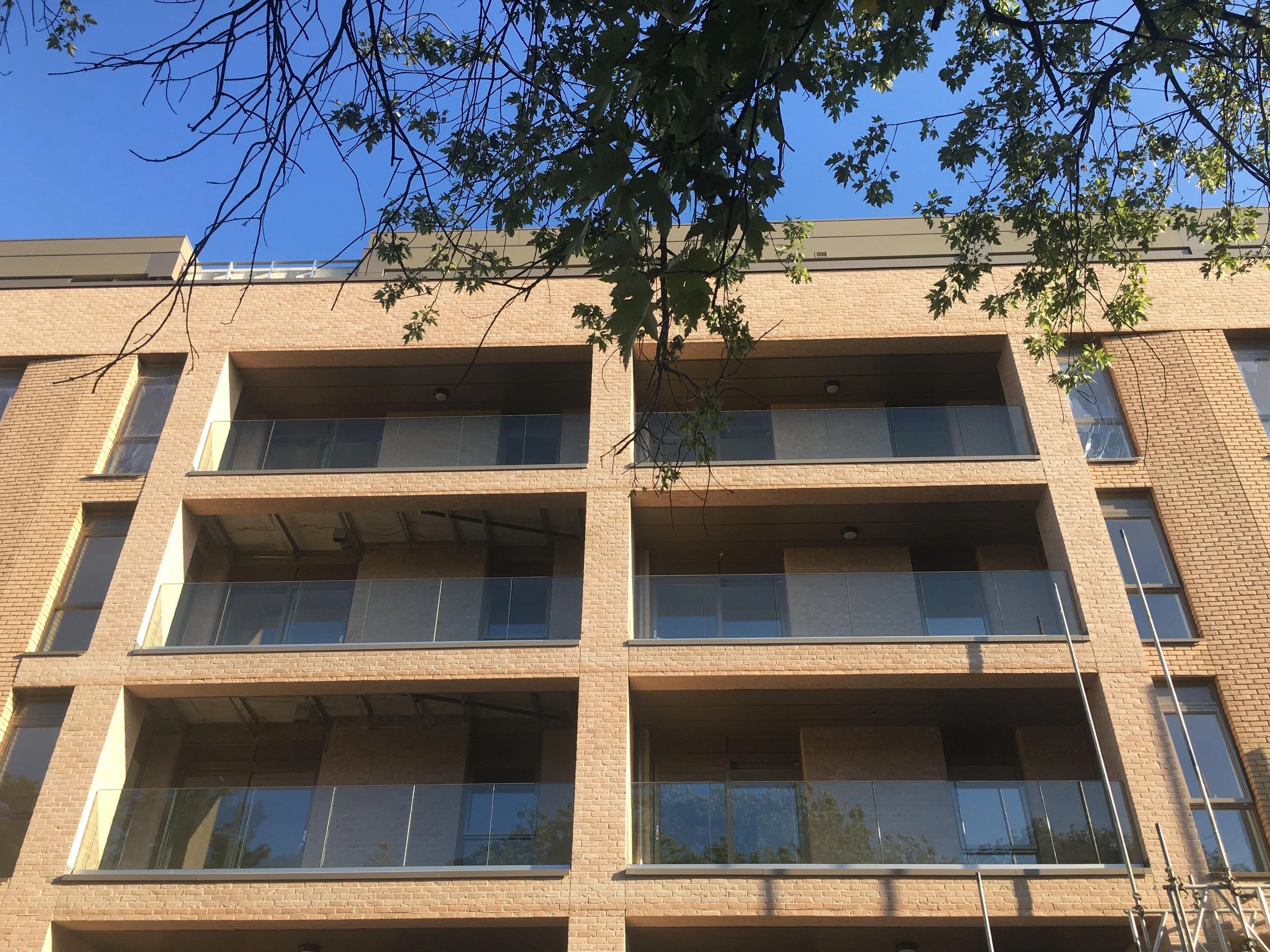 Scaffolding coming down at Telfer House