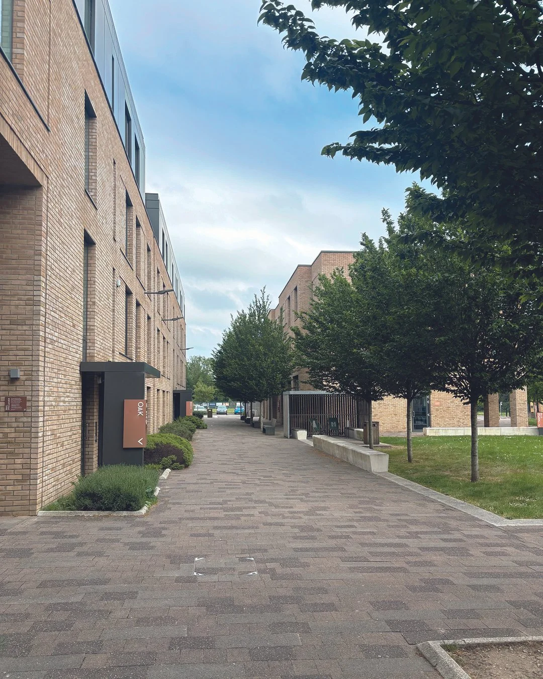 260507_Hox Park2.jpg