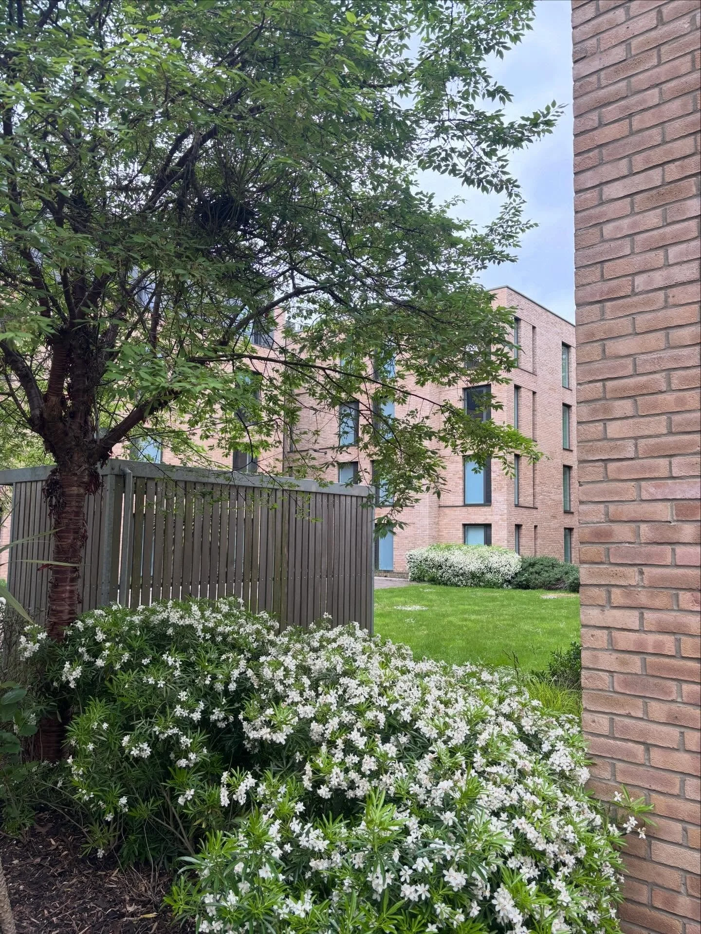 8 year&rsquo;s post completion revisit 🤩

After Hox Park student accommodation (precast superstructure supplied by FP McCann) was featured in Offsite magazine as an example of resilience by client intent, we revisited over the bank holiday to see ho