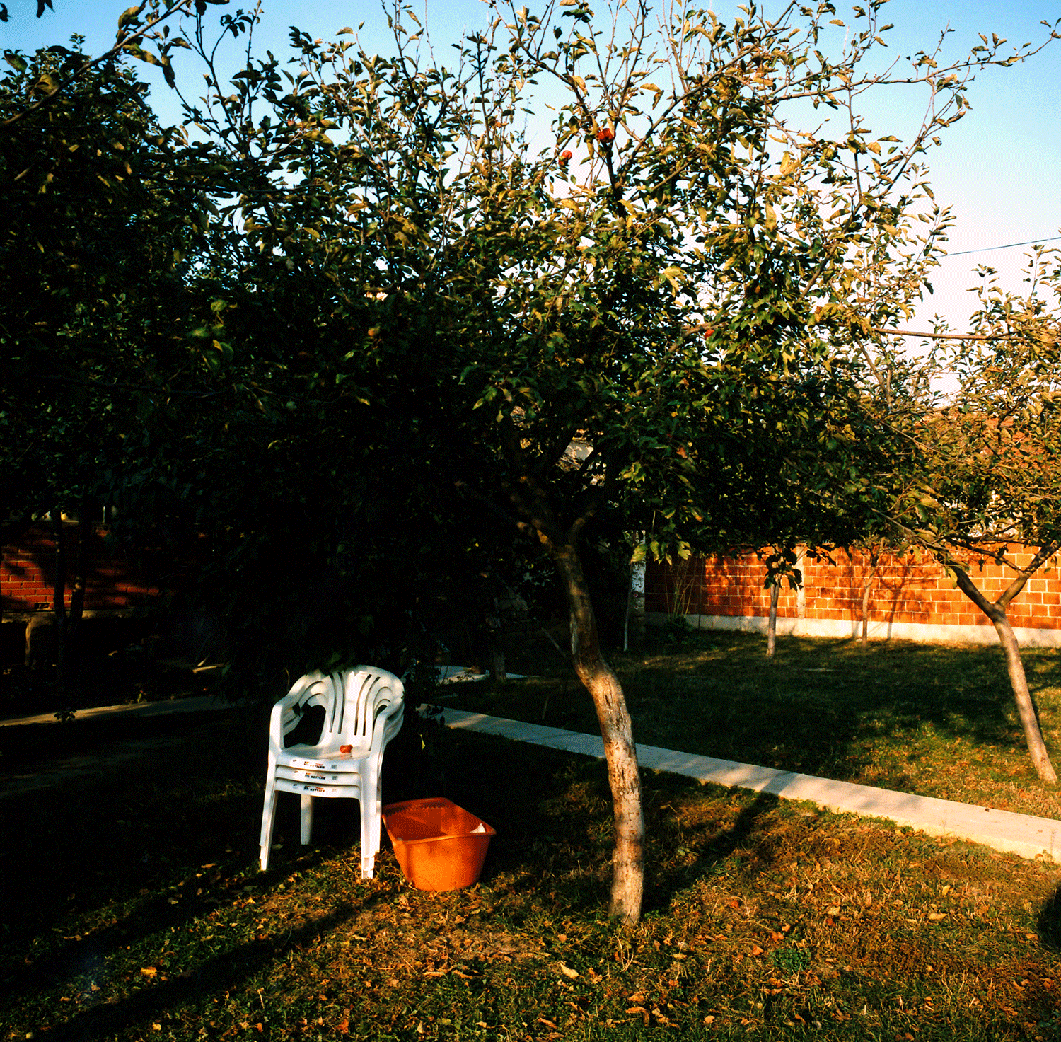“Then one of them took a butcher’s knife and said “Cut his hand off.” I stretched out my hand but he didn’t do it. One of them pointed a pistol at my eye and threatened he was going to kill me … all this torture lasted from about 6.00pm to 11.00pm … the next morning I was taken to another room where they turned on the electric saw and threatened to cut off my head, unless I told them about my friends and their activities…It has already been a year of my insecurity here, and as I have got a wife and three children I have nowhere to go. So I stay at home and every day I expect them to come back …”