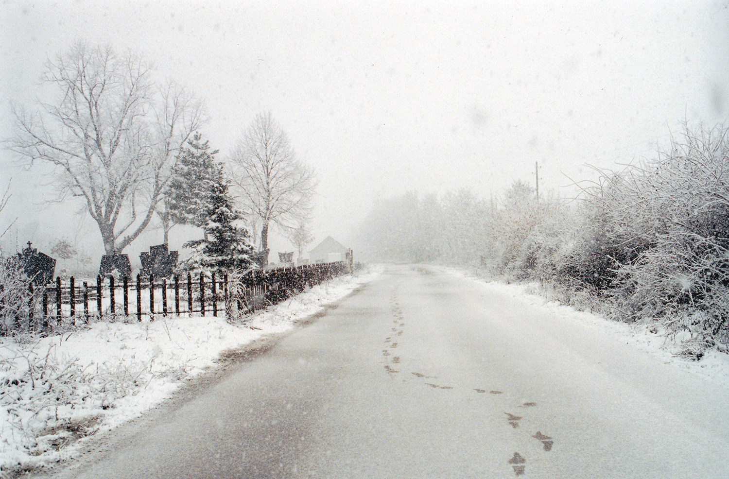  “I met my fiancé here, in the enclave. It’s terrible here. We are eight hundred inhabitants, all Serbian, and we have only two shops and just one café. I am so bored seeing the same people every day – better to stay indoors and read. It’s too risky 