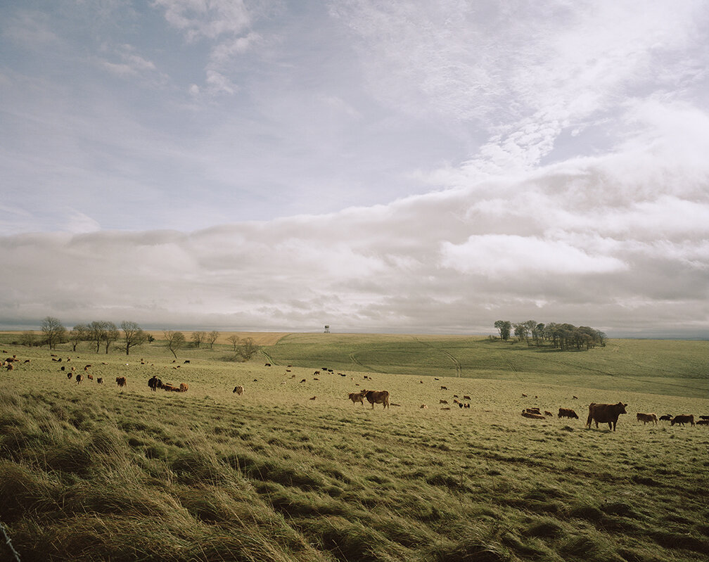 FOR WEB No. 1 The Plain © Melanie Friend.jpg