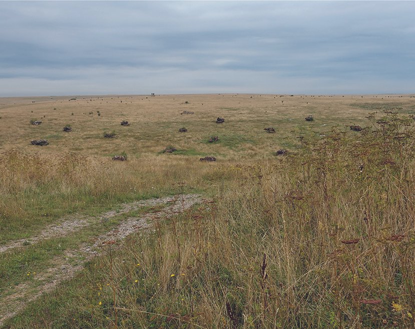 Rusty tanks used as targets in Larkhill Artillery Range. August 2016, from The Plain © Melanie Friend.jpg