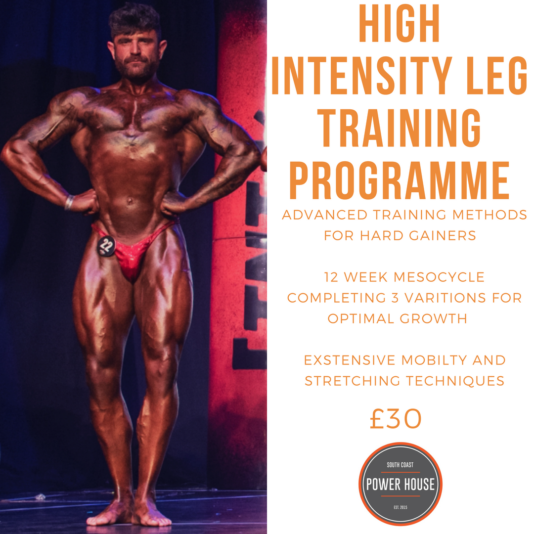 leg workout for size