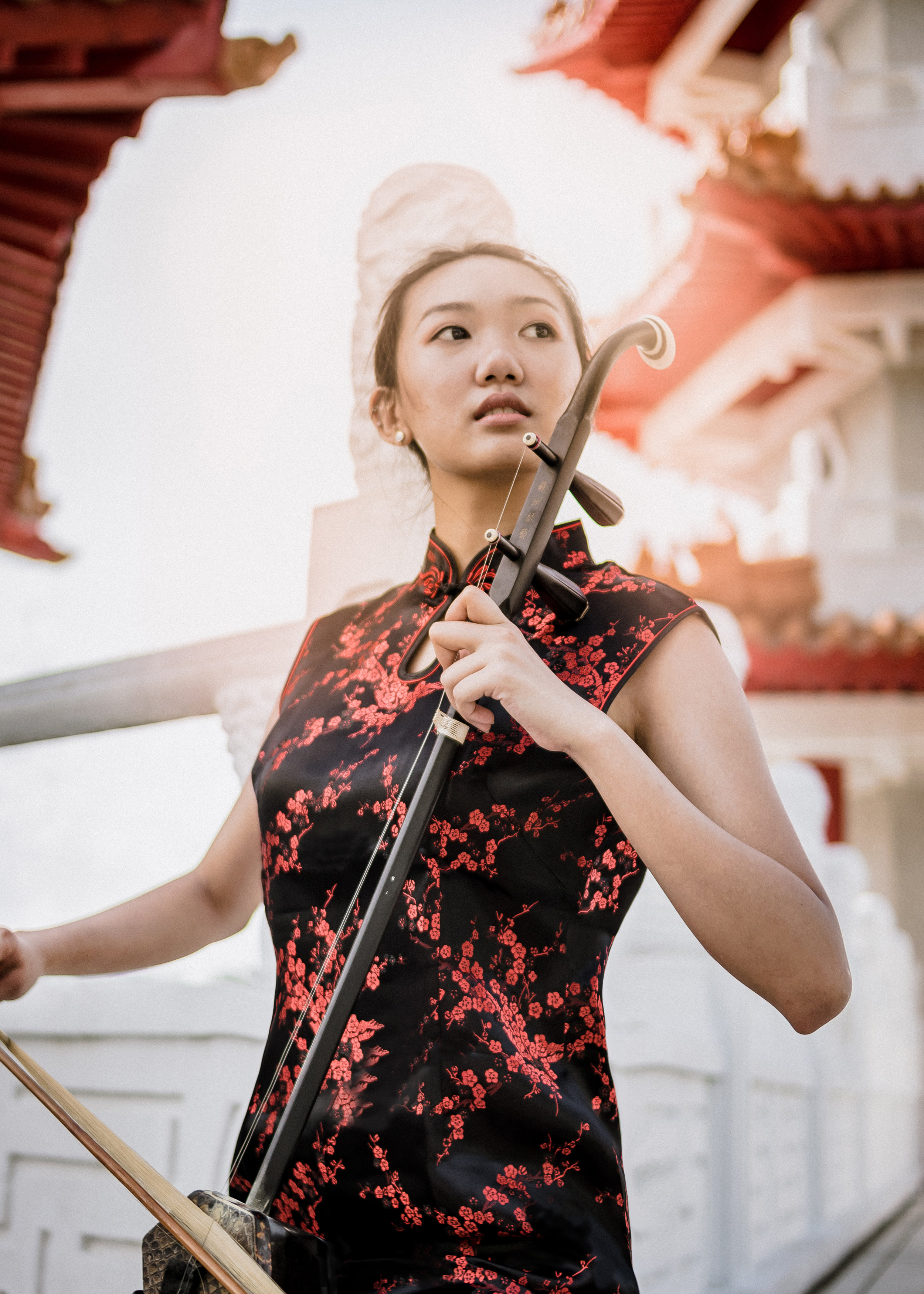 Chinese New Year - Bold At Spring