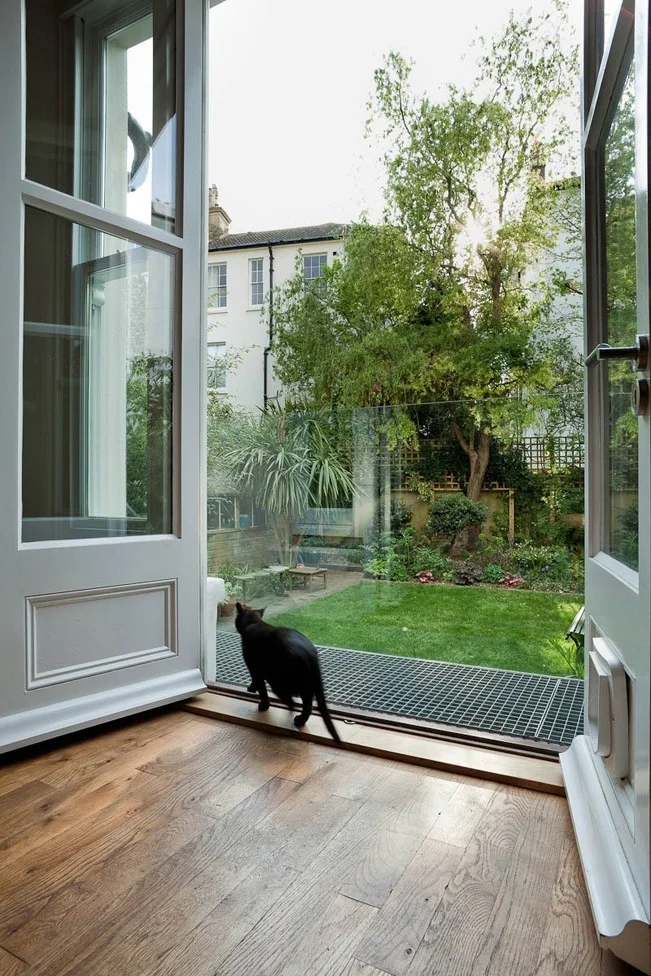 the cat enjoys the new garden access
