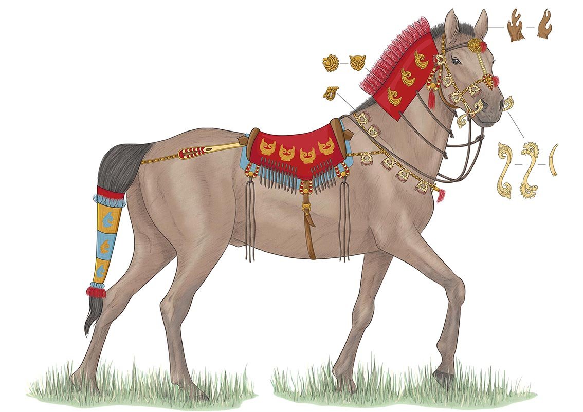 Reconstruction of a teenage Saka archer's horse