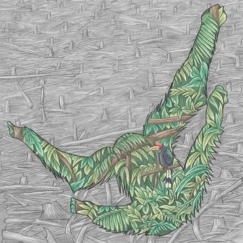 Orang-utan Crop.jpg