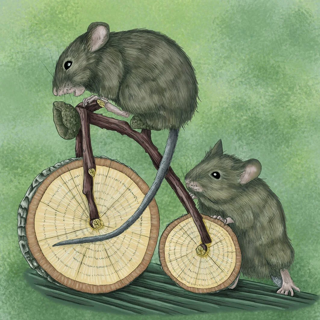 Mice on a bike