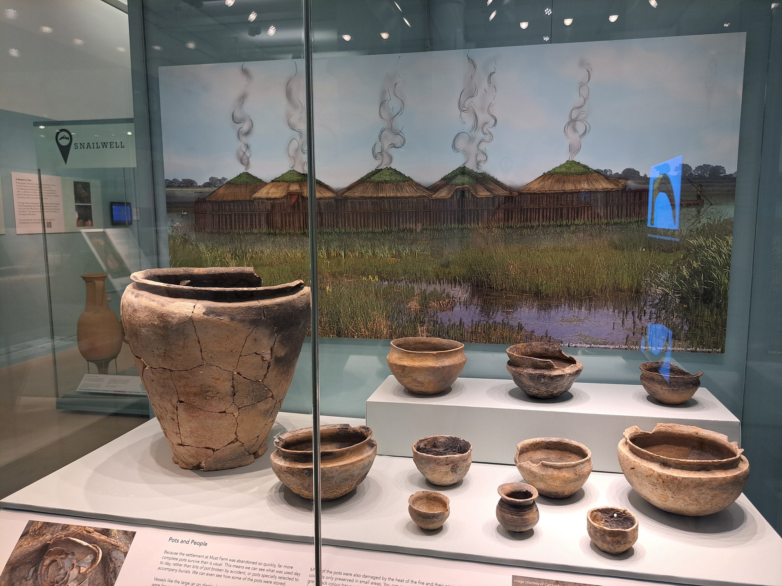 Reconstruction Illustration in Museum Display