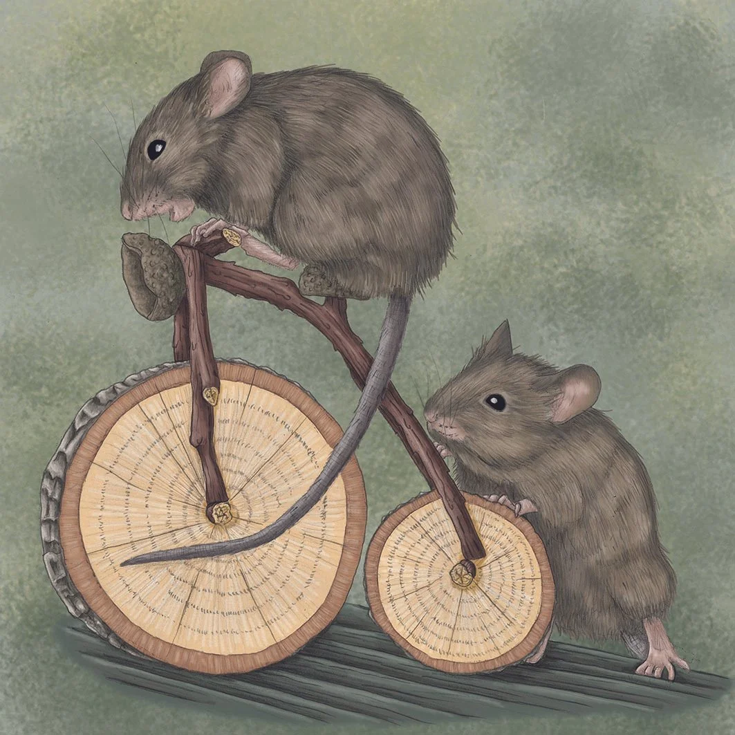 Mice on a Bike