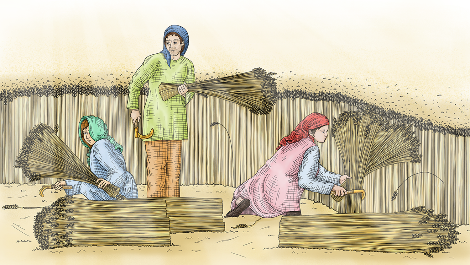 Bronze Age Farming