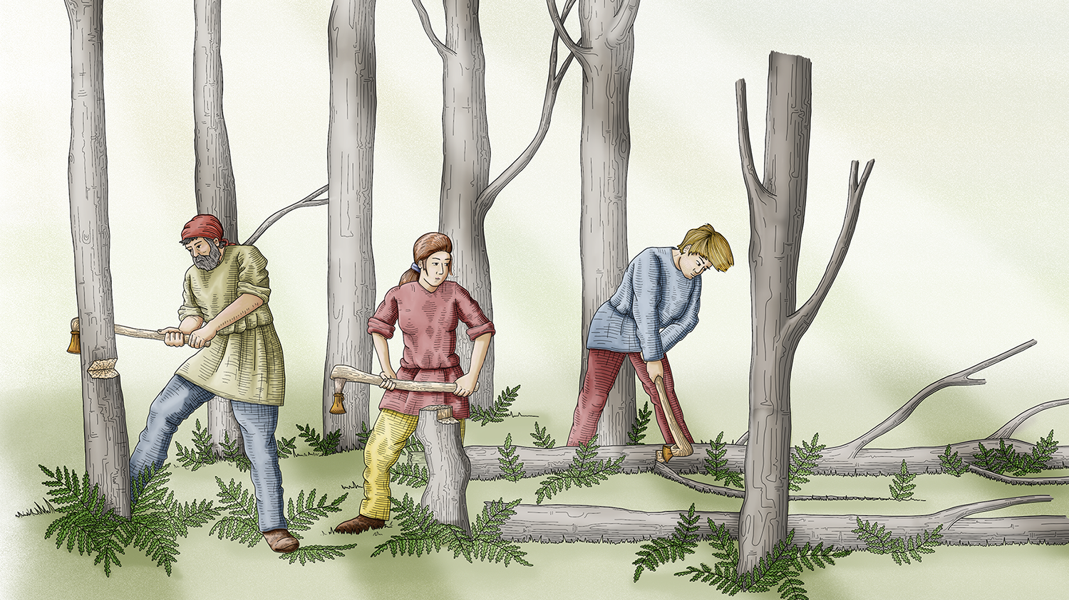 Chopping down trees