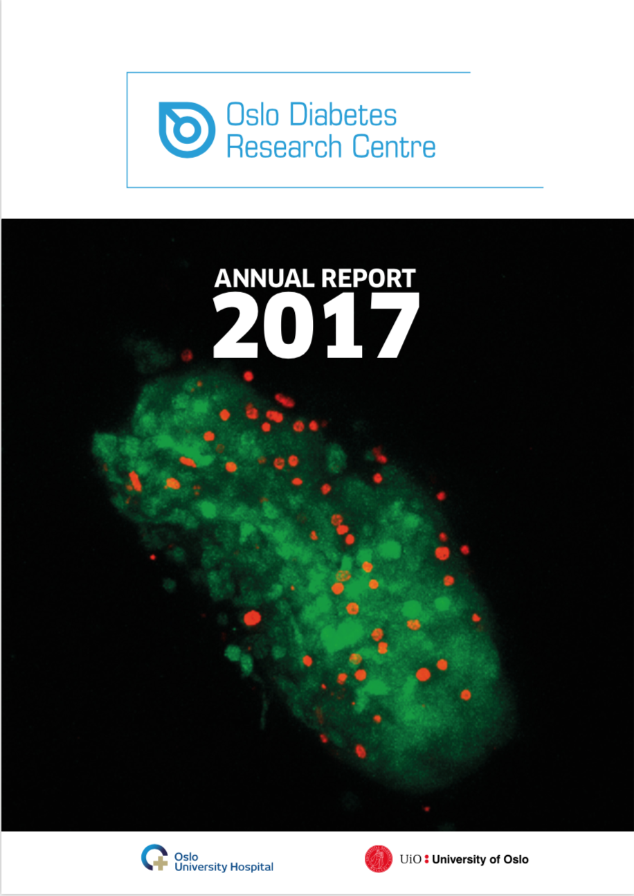 2017 Annual report