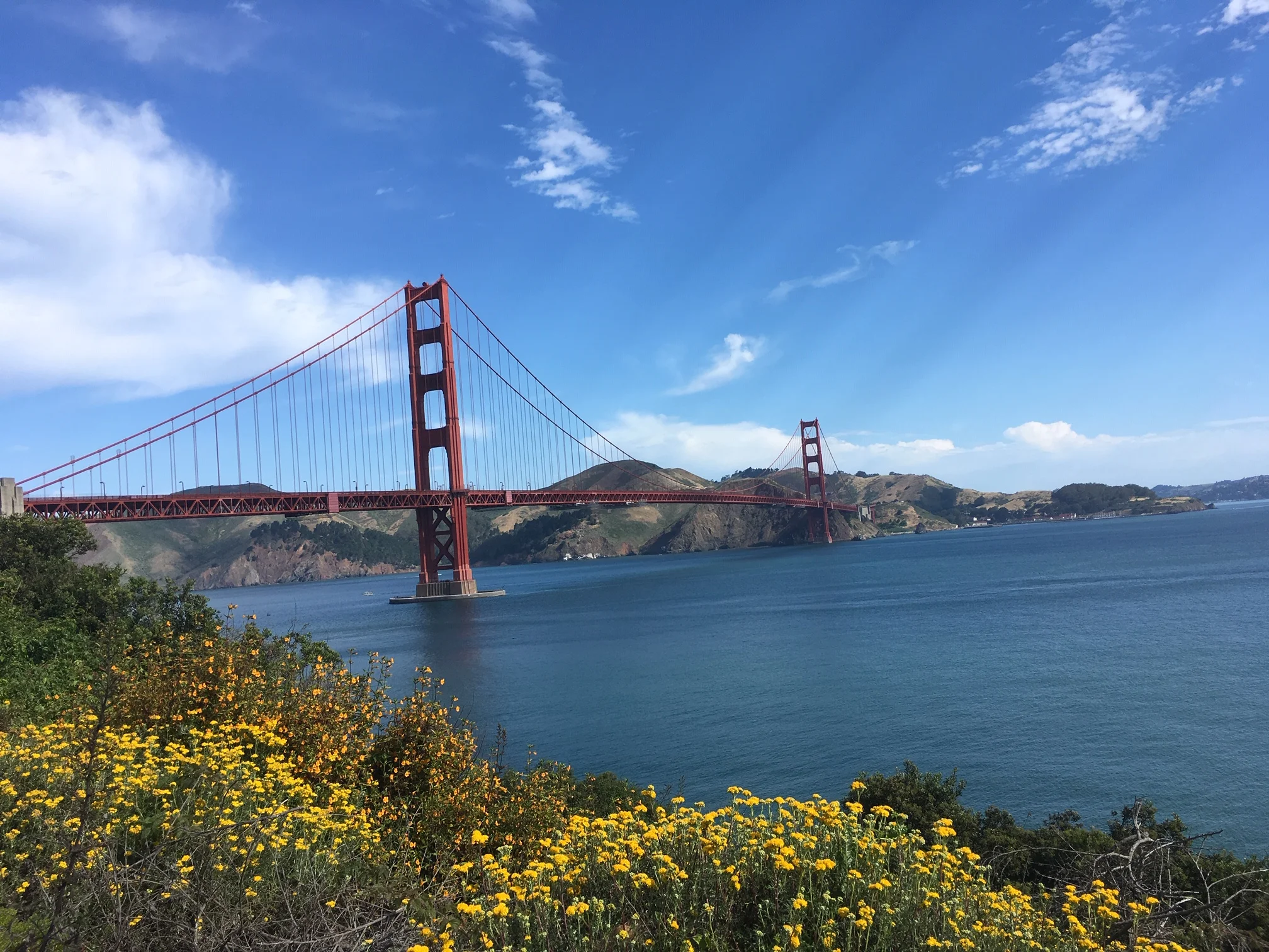 Technology in type 1 diabetes