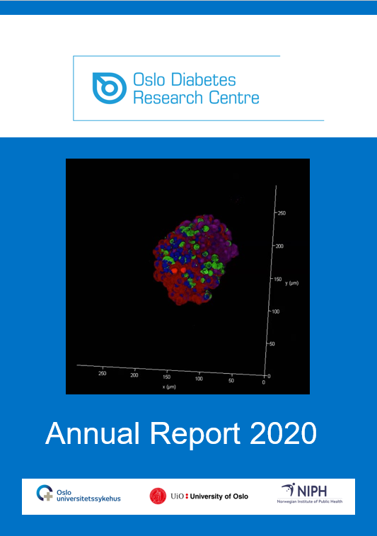 2020 Annual Report 