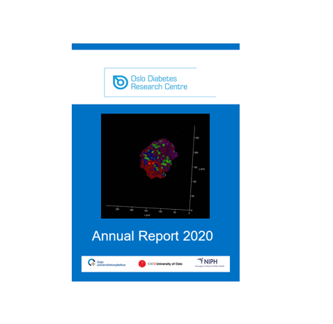 Annual Report 2020