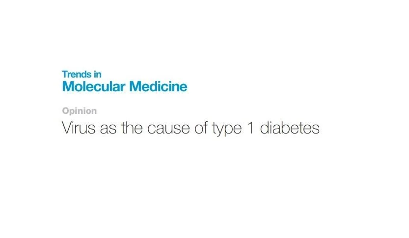 New Opinion Paper Links Viruses to Type 1 Diabetes