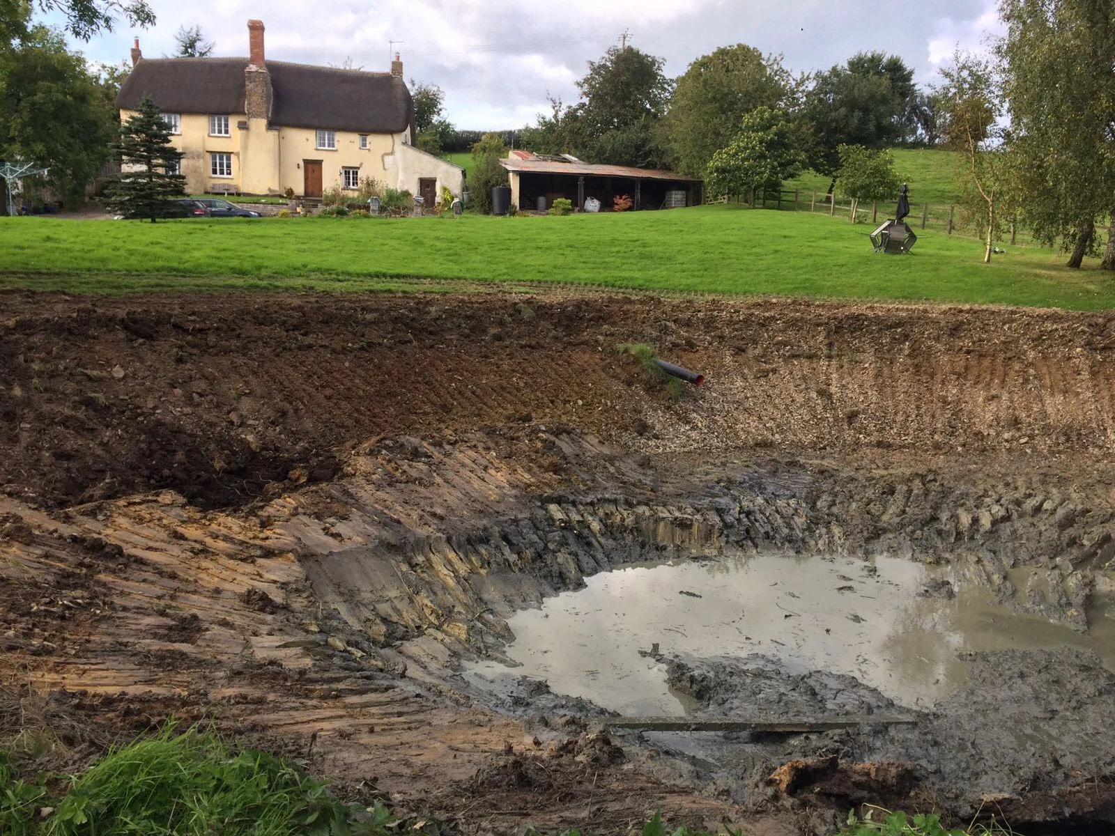pond clearance 3.JPG