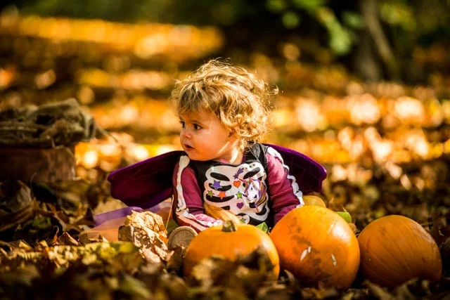 Video Slideshows now supplied with all orders!