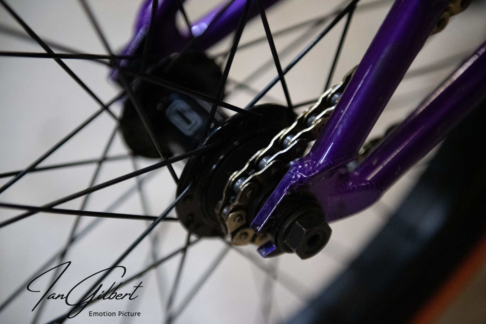 Rampword, hidden talents behind closed doors!